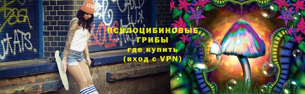 дурь Алексеевка