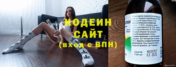 ECSTASY Алзамай